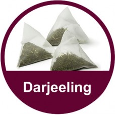 Darjeeling Tea Temples